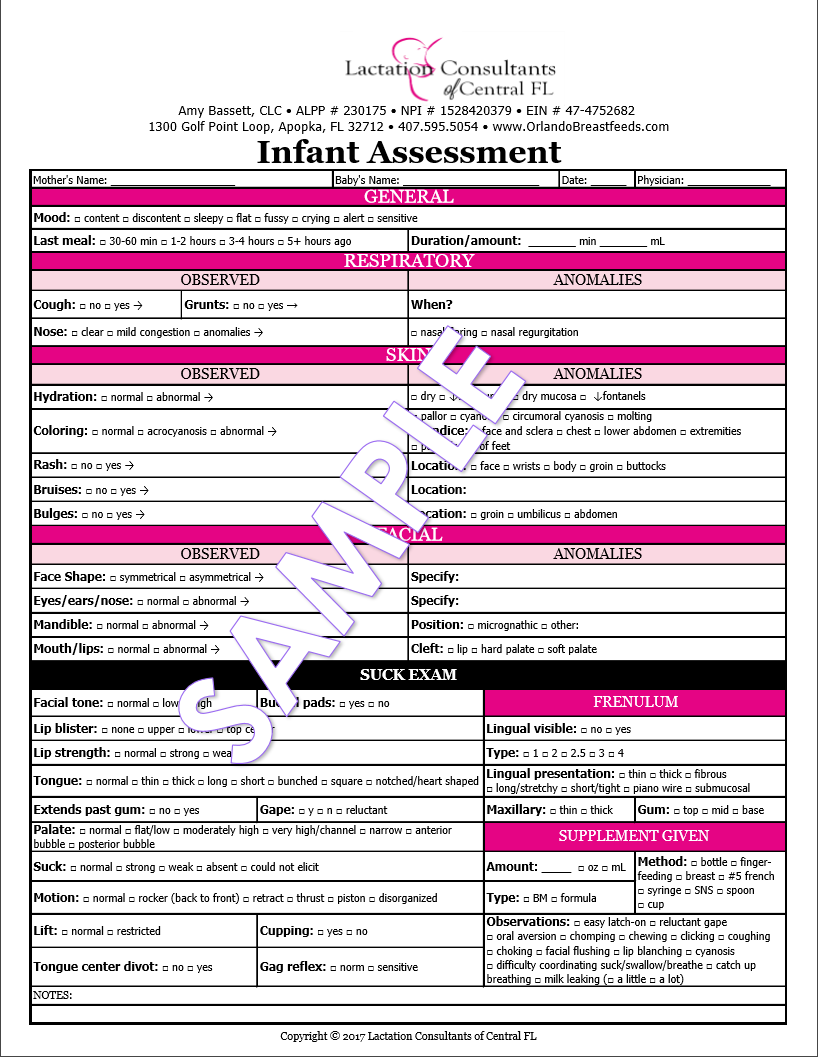 breastfeeding-infant-assessment-template-form-lactation-consultants