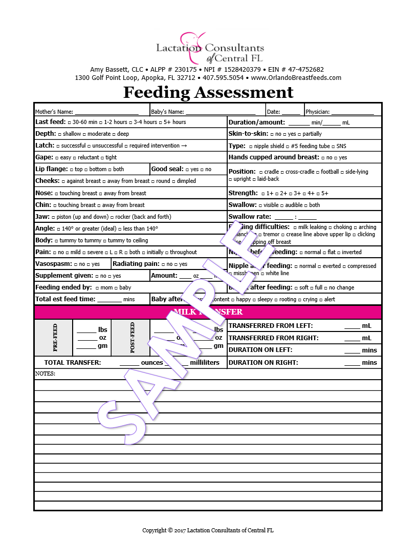 Breastfeeding Assessment Template Form Lactation Consultants Of 