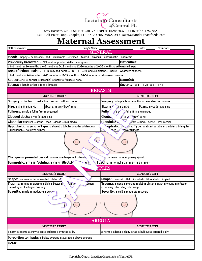breastfeeding-maternal-assessment-template-form-lactation-consultants