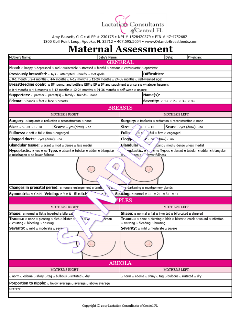 Breastfeeding Maternal Assessment Template Form Lactation Consultants